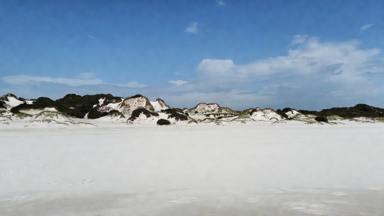 Ilha de Maiandeua (Algodoal): Histórias, Encantarias e a Vida do Caboclo no Coração do Salgado Paraense