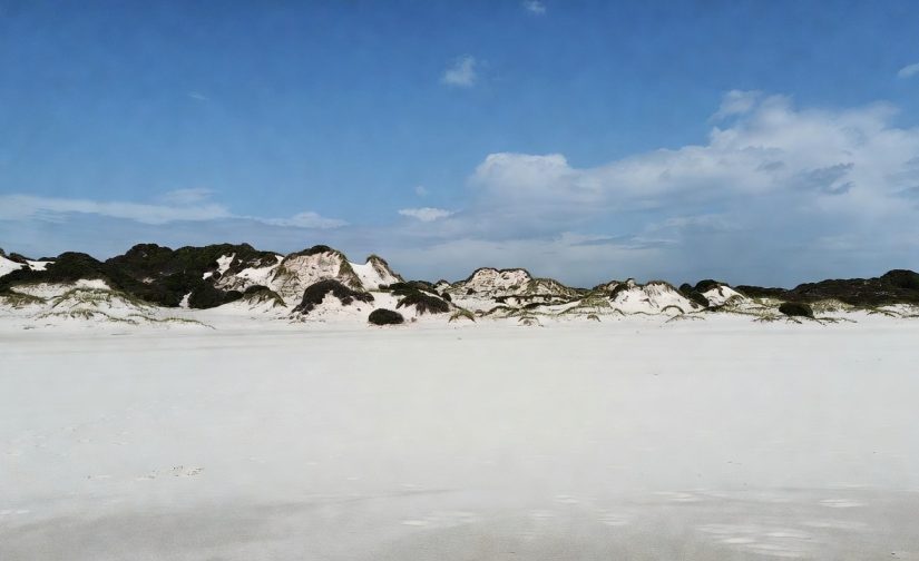 Ilha de Maiandeua (Algodoal): Histórias, Encantarias e a Vida do Caboclo no Coração do Salgado Paraense