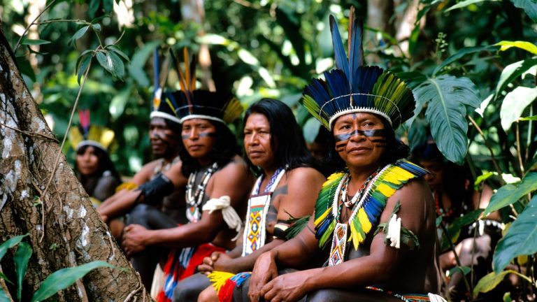 O Grande Tratado da Floresta: Uma Investigação Discunforme sobre as Tribos e Etnias da Amazônia O Grande Tratado da Floresta: Uma Investigação Discunforme sobre as Tribos e Etnias da Amazônia
