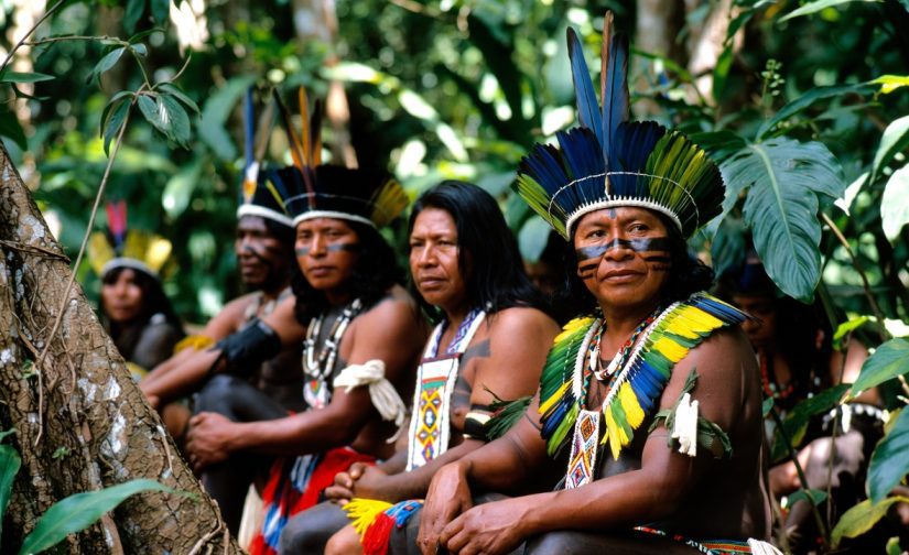 O Grande Tratado da Floresta: Uma Investigação Discunforme sobre as Tribos e Etnias da Amazônia