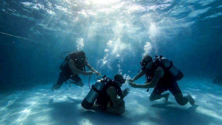 Navy SEALs: O Treinamento que Deixa o Caboco com o Juízo de Aço! Navy SEALs: O Treinamento que Deixa o Caboco com o Juízo de Aço!