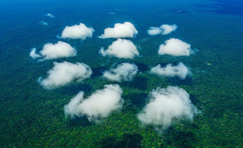 Rios Voadores da Amazônia: Os Gigantes Invisíveis que Sustentam a Vida no Brasil